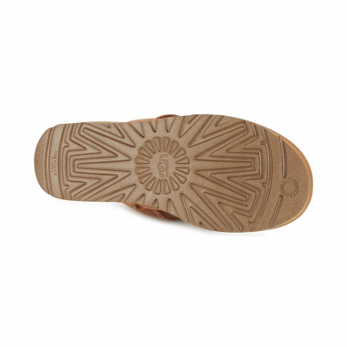 Classic Short chestnut 1016223-che