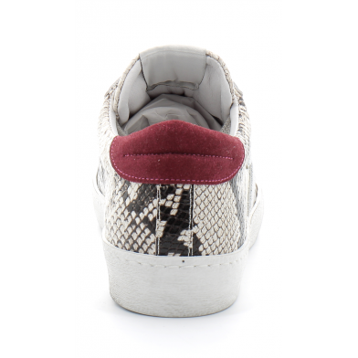 Basket mode basse à lacet pour femme Catri serpent 3228