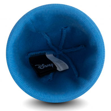 bonnet à revers dingo character enfants bleu bleu child