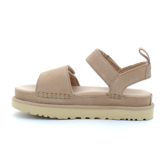 Goldenstar driftwood 1136783-dri