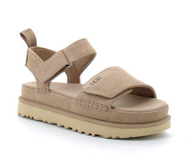 Goldenstar sand 1136783-sand