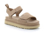 Goldenstar sand 1136783-sand