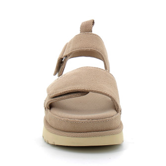 Goldenstar sand 1136783-sand