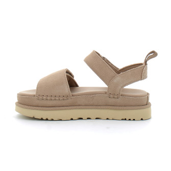 Goldenstar sand 1136783-sand